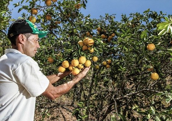 Governo discute desenvolvimento econômico de São José da Laje