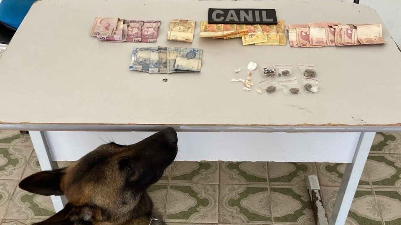 Abordagem com cão da PM em Arapiraca resulta em prisão por tráfico de drogas