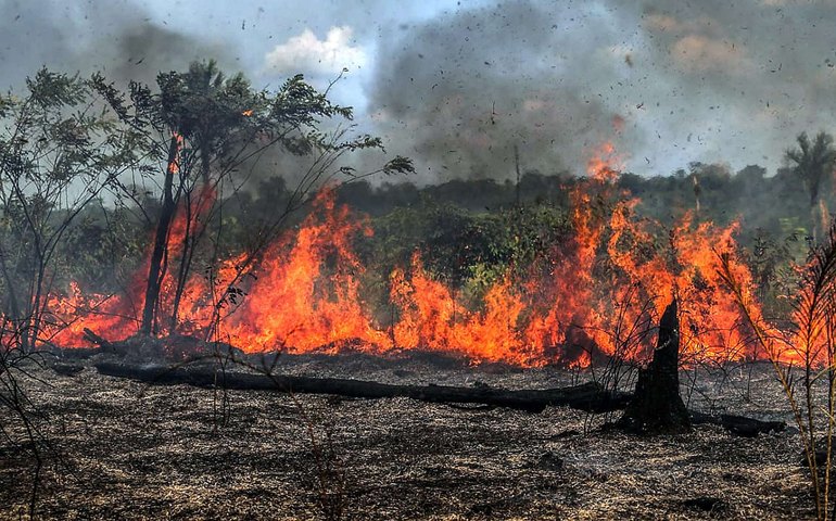 Queimada na Amazônia em junho é a maior dos últimos 13 anos