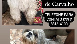 WhatsApp Image 2021-05-10 at 17.20.15.jpeg / Foto: Redes sociais
