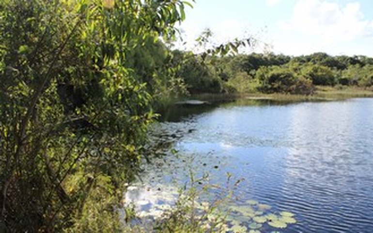 Propriedades rurais tem um ano para se registrarem no Cadastro Ambiental Rural (CAR)