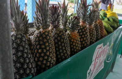 Emater anuncia encerramento do cadastro de unidades recebedoras do PAA 2022 