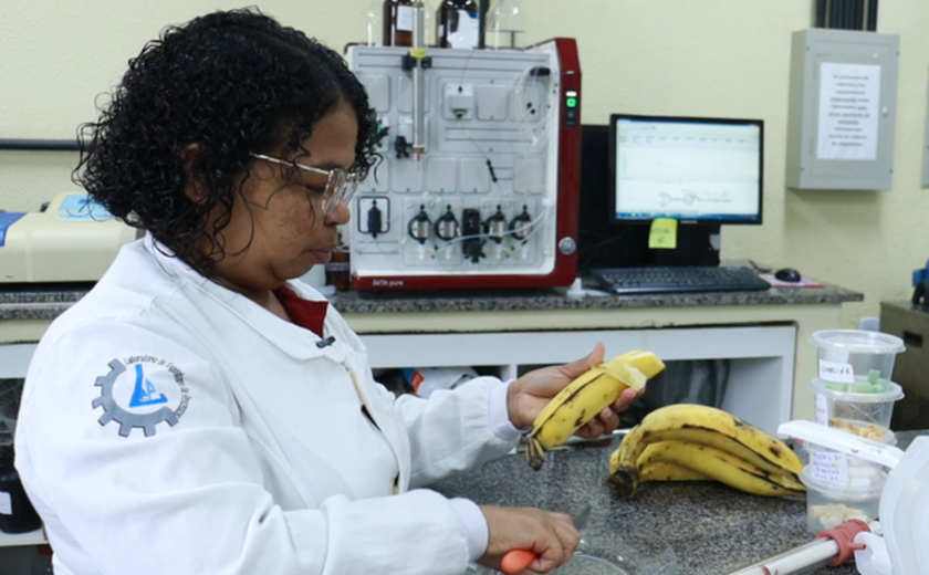 Pesquisa revela potenciais terapêuticos da banana em estudo científico