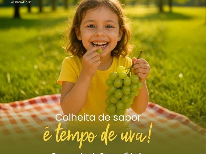 IFPA oferece ao varejo campanha de sazonalidade da uva para estimular consumo em Alagoas