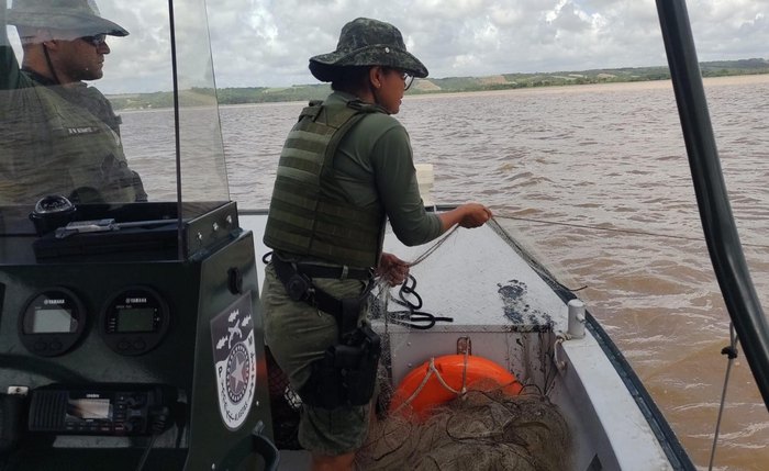 Redes estavam armadas para captura de peixe e tinham malha abaixo do permitido