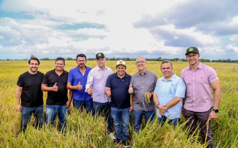 Prefeitura de Penedo e Cooperflores impulsionam economia da zona rural com plantio de arroz na Ponta Mofina