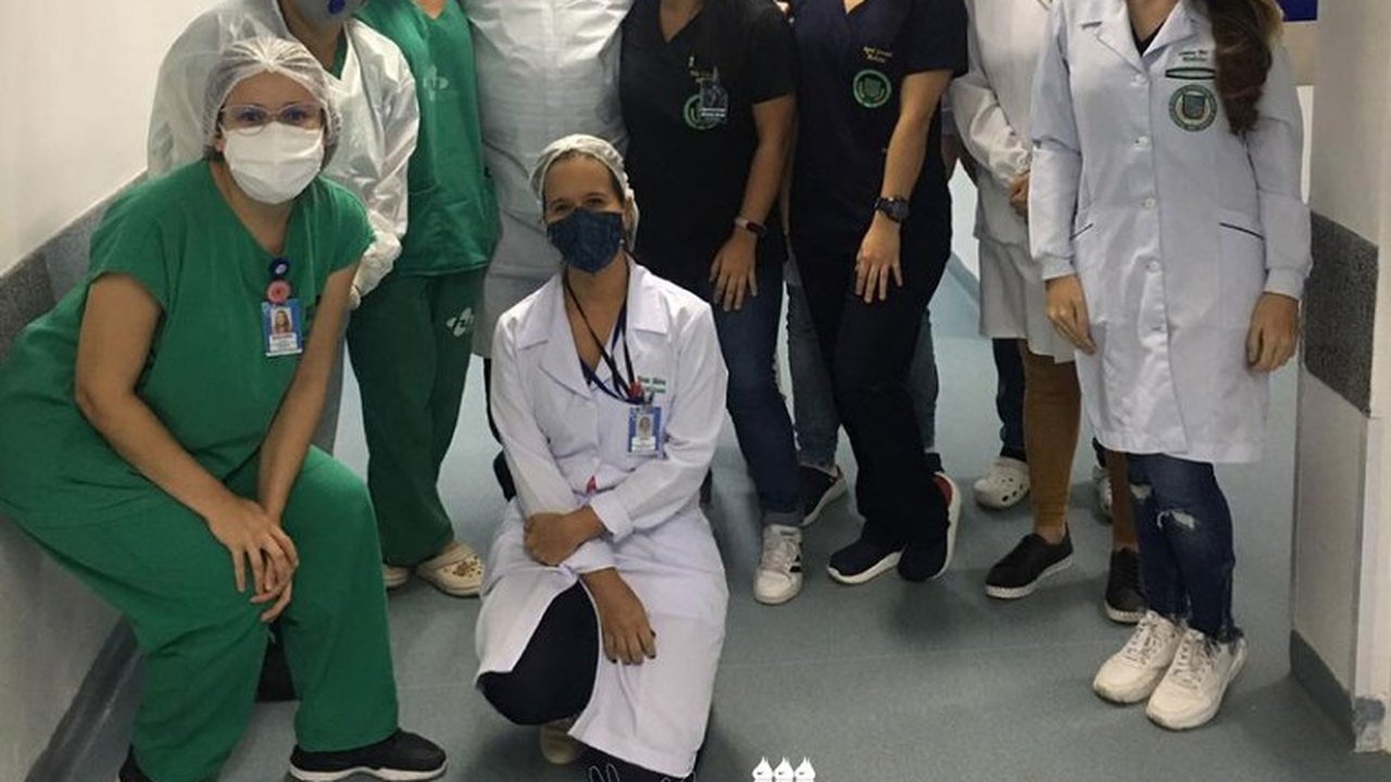 HU faz transplante com material das fezes para tratamento de doenças intestinais
