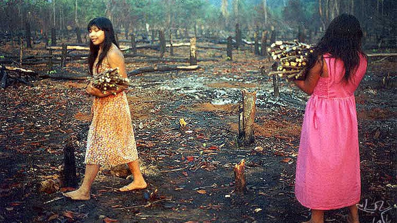 O Xingu visto pelos povos da floresta e pelos caraíbas em imagens raras no IMS