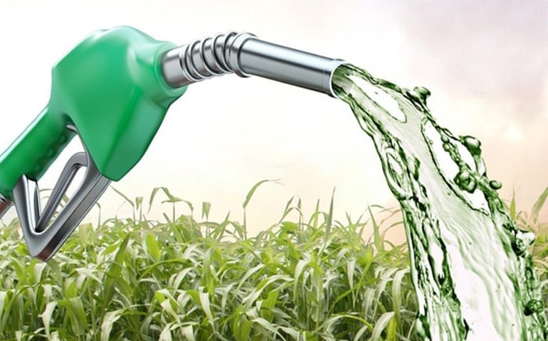 Preço do etanol cai em 20 Estados e no DF e sobe em 6, diz ANP