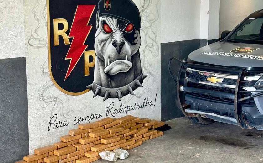 PM apreende quase 80 kg de maconha durante operação na Grota do Rafael, em Maceió