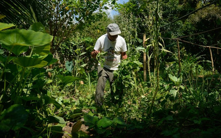 Edital seleciona 36 projetos para fortalecer agricultura familiar
