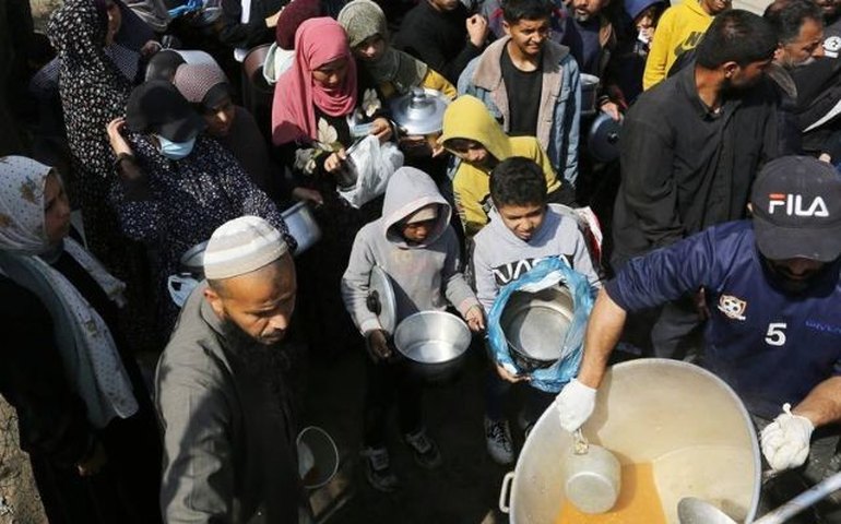 Ao menos 15 palestinos são mortos enquanto aguardam entrega de ajuda humanitária em Gaza