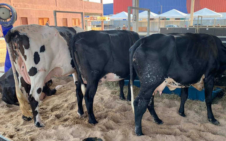 Parque da Pecuária abre portões para a 72ª Expoagro Alagoas neste sábado (22)
