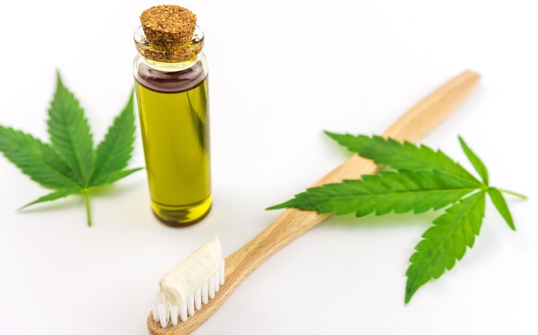 Na odontologia, prescrição da cannabis medicinal pode reduzir o uso de opioides