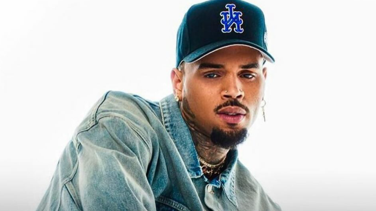 Chris Brown é condenado a pagar R$ 67 milhões após ataque de cão a funcionária e admite negligência