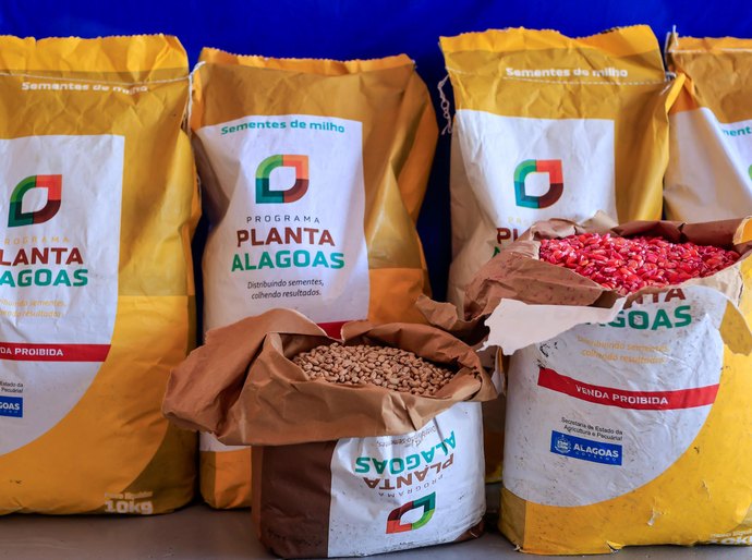 Planta Alagoas já atendeu mais de 35 mil agricultores familiares com entrega de cerca de 500 toneladas de sementes