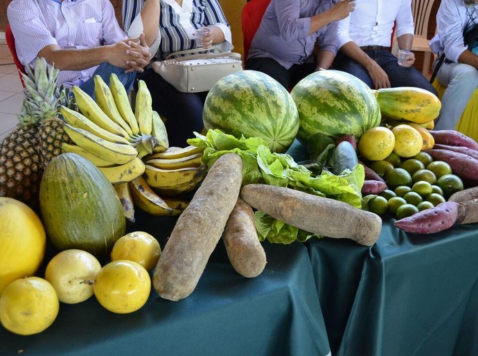 Prefeitura de Palmeira realiza seminário sobre Recursos Hídricos, Irrigação e Desenvolvimento Rural Sustentável