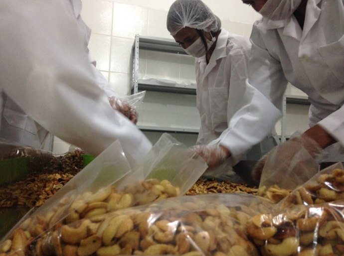 Fábrica de castanhas fortalece economia de pequenos produtores