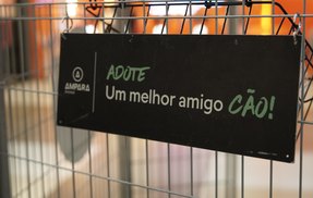 Vídeo