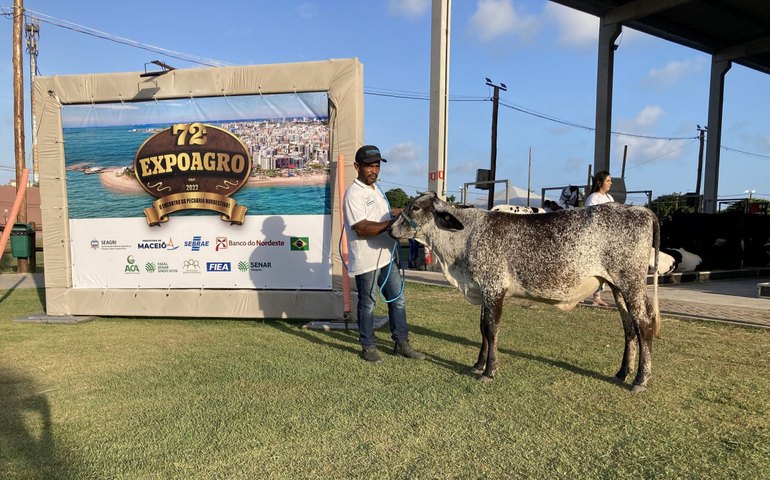 Exposições regionais do gado leiteiro têm início na 72ª Expoagro Alagoas