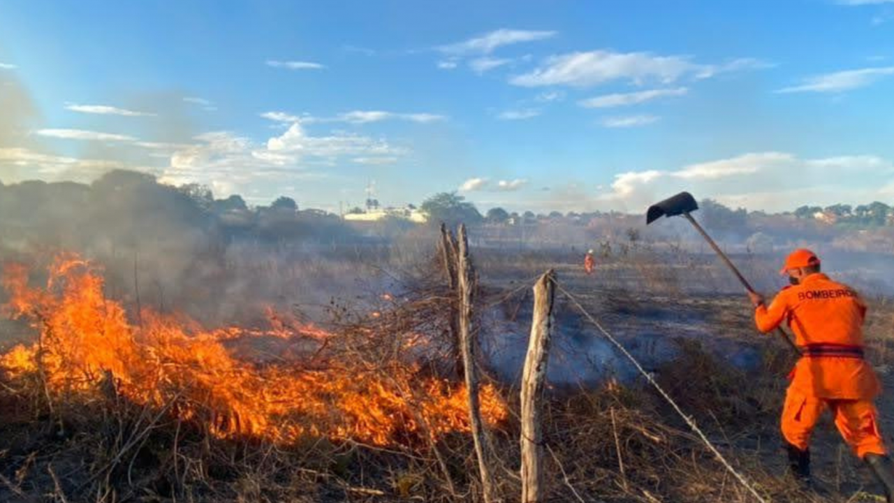 Corpo de Bombeiros atua no combate ao fogo em vegetação