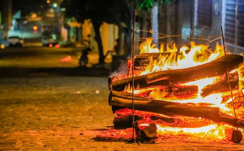 IMA alerta que é proibido cortar árvores para fazer fogueiras