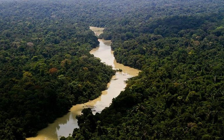 Governo entra com primeira ação por danos climáticos contra a Amazônia