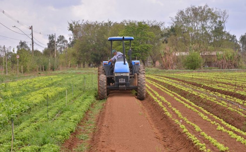 Nova lei garante mais recursos para crédito à agricultura familiar