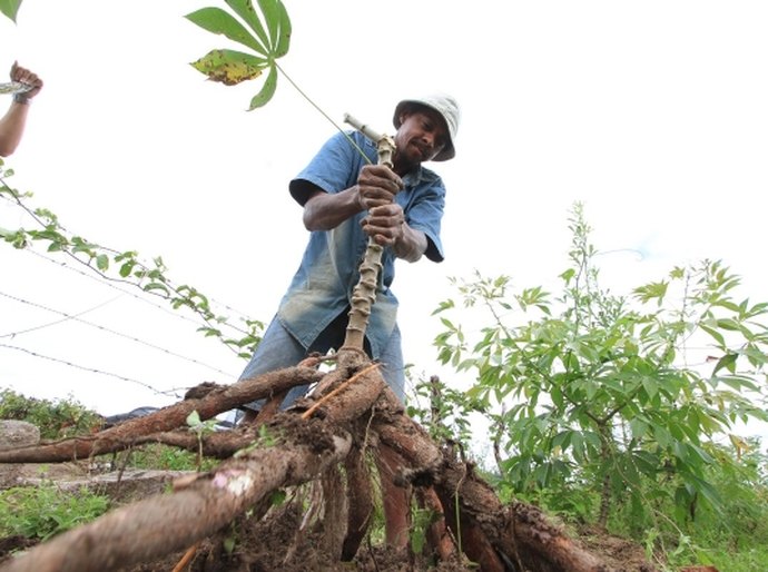 Associação de produtores de Girau do Ponciano recebe apoio técnico