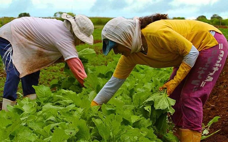 Embrapa capacitará técnicos de países africanos em produção agrícola