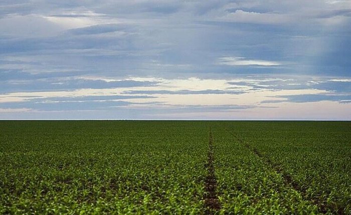 Agro brasileiro bate recorde histórico e movimenta US$ 52,7 bilhões nos 4 primeiros meses de 2025 Agro brasileiro bate recorde histórico e movimenta US$ 52,7 bilhões nos 4 primeiros meses de 2025