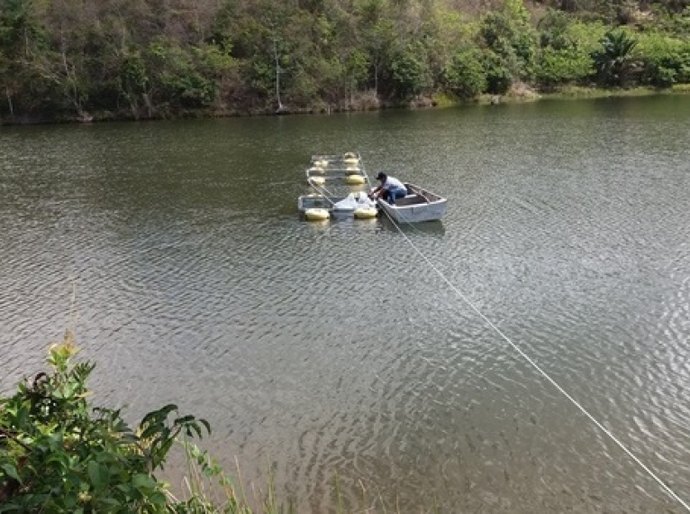 Junqueiro sediará Dia de Campo sobre Piscicultura dia 7 deste mês