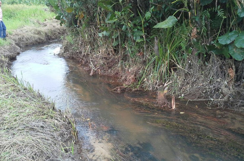Limpeza no Rio da Estiva garante melhor abastecimento de água de Marechal