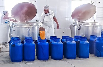 Nove complexos nutricionais têm financiamento aprovado pelo Fecoep