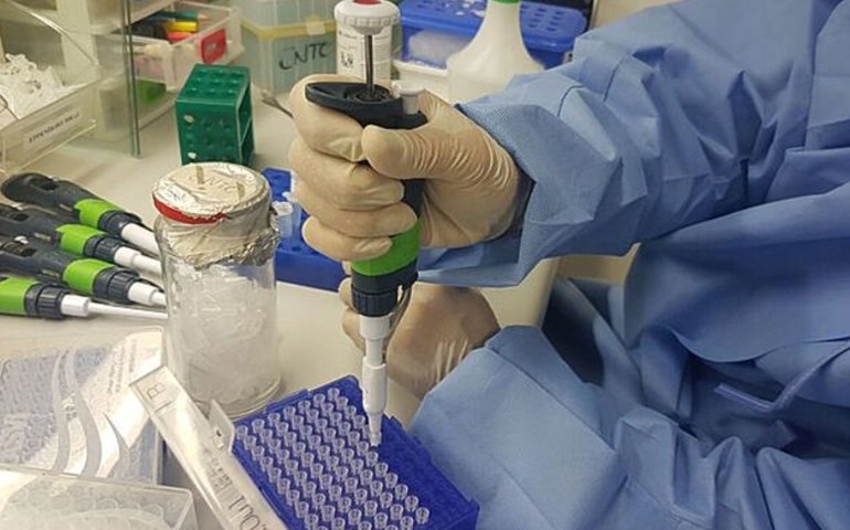 Brasil libera R$ 1,9 bilhão para produção de vacina