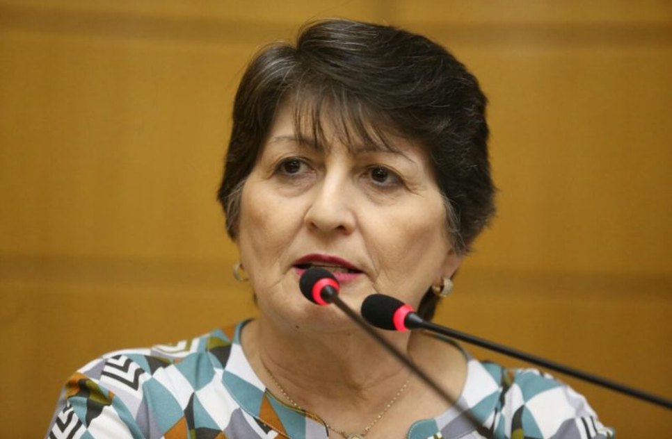 DEPUTADA MARIA MENDONÇA
