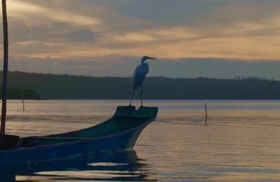 Alagoas ganha destaque em websérie nacional do Programa Transformando Territórios sobre filantropia comunitária