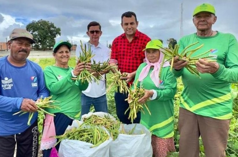 Agricultores de Campo Alegre iniciam mais uma farta colheita do Projeto Barriga Cheia