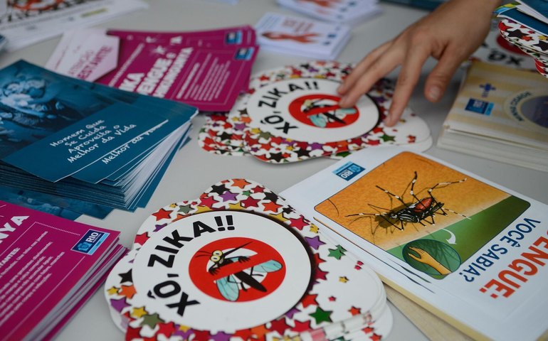 Inicialmente ignorado, há 10 anos o zika vírus chegava nas terras e nas veias sanguíneas brasileiras