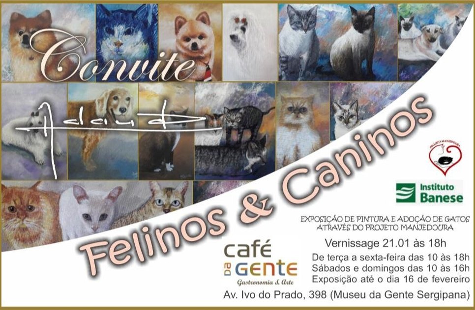 EXPOSIÇÃO CANINO FELINO