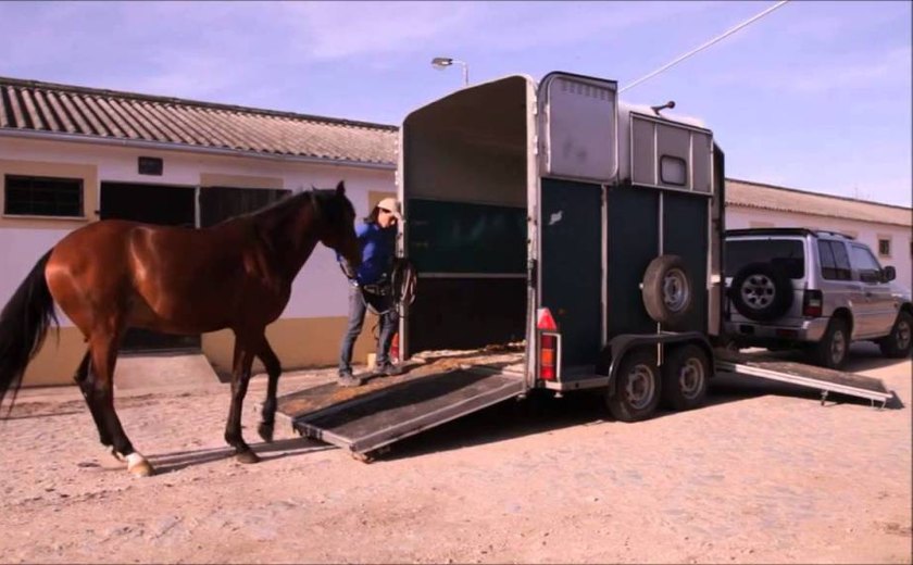 Aprovado projeto que institui o Passaporte Equestre para o transporte de animais em Alagoas