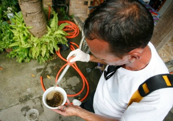 Arapiraca realiza mutirão até junho para combater a dengue