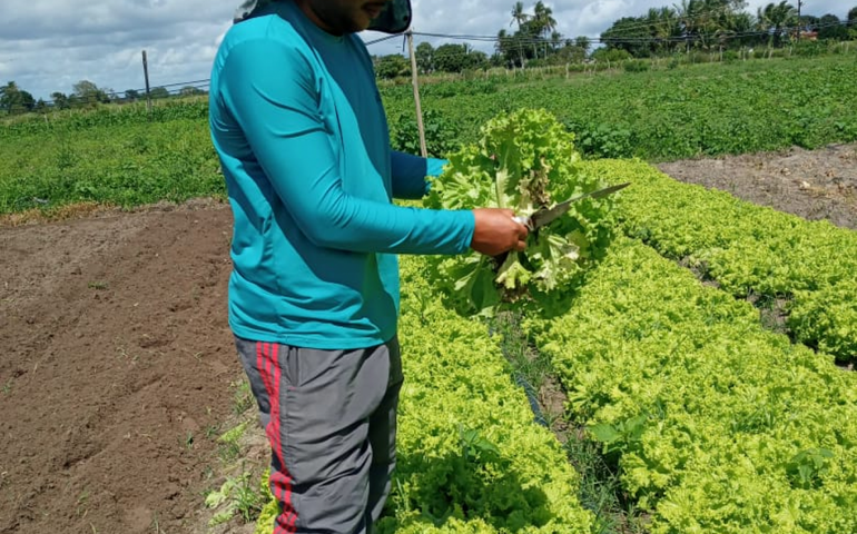 Guerra e clima ameaçam oferta global de alimento, dizem líderes do setor agrícola