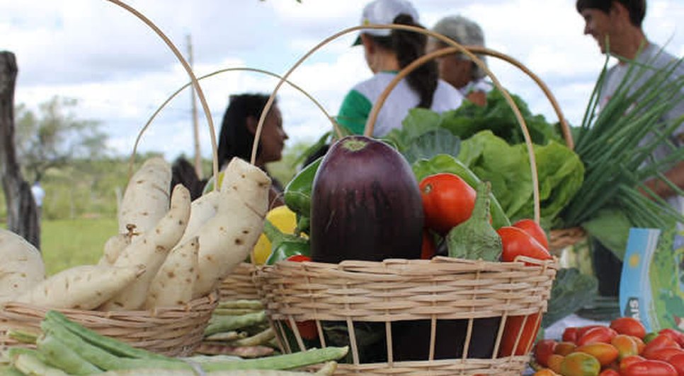AGRICULTURA FAMILIAR ALIMENTAÇÃO COMIDA / Foto: Agência de Notícias Sergipe