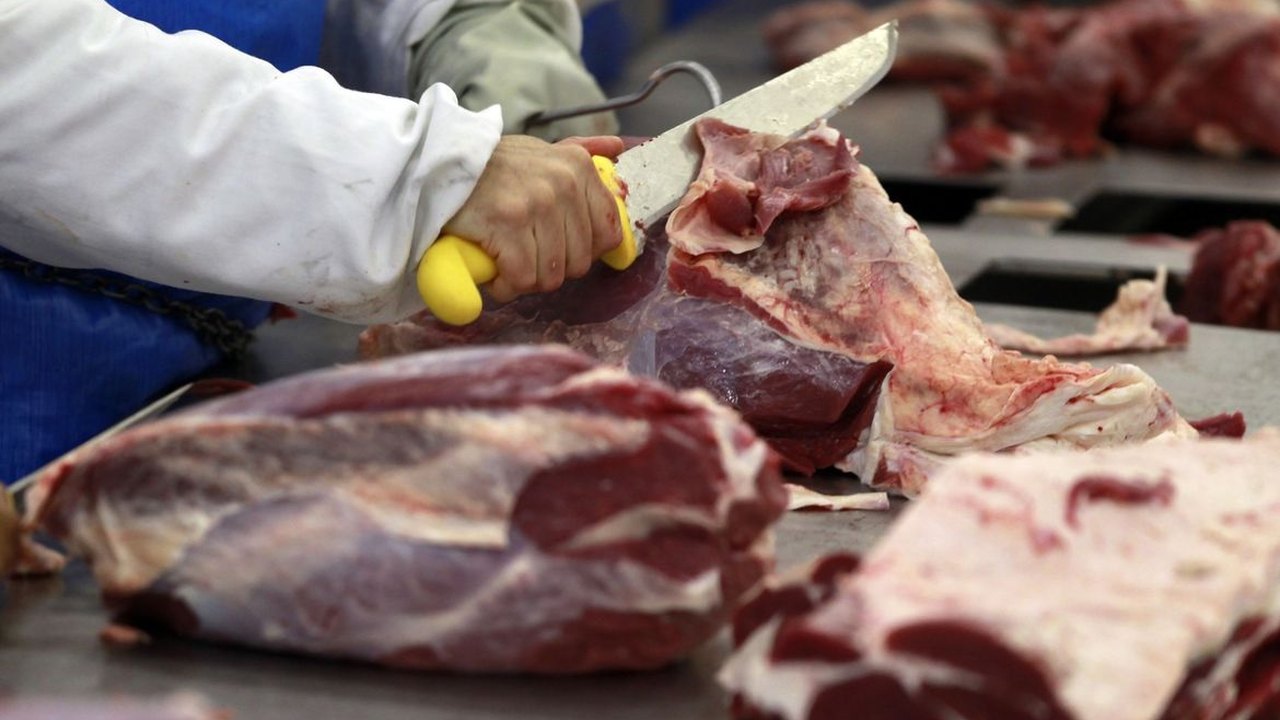 Preços das carnes acumulam queda de 3,08% no ano, mostra IBGE com base no IPCA-15