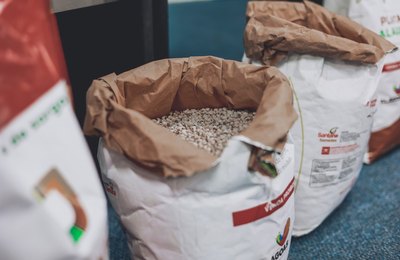 Planta Alagoas 2022: agricultores recebem sementes e iniciam plantação dos grãos