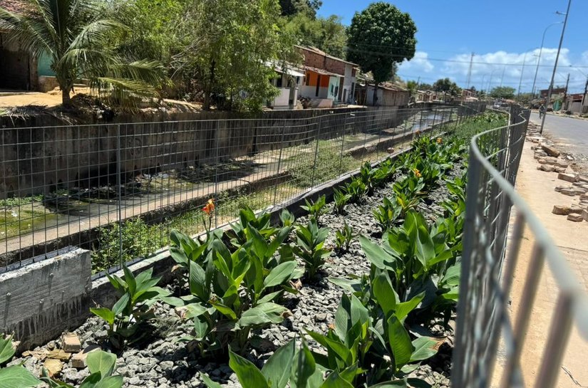 Vice-prefeito e titular da Seminfra destaca importância dos jardins filtrantes para o Renasce Salgadinho