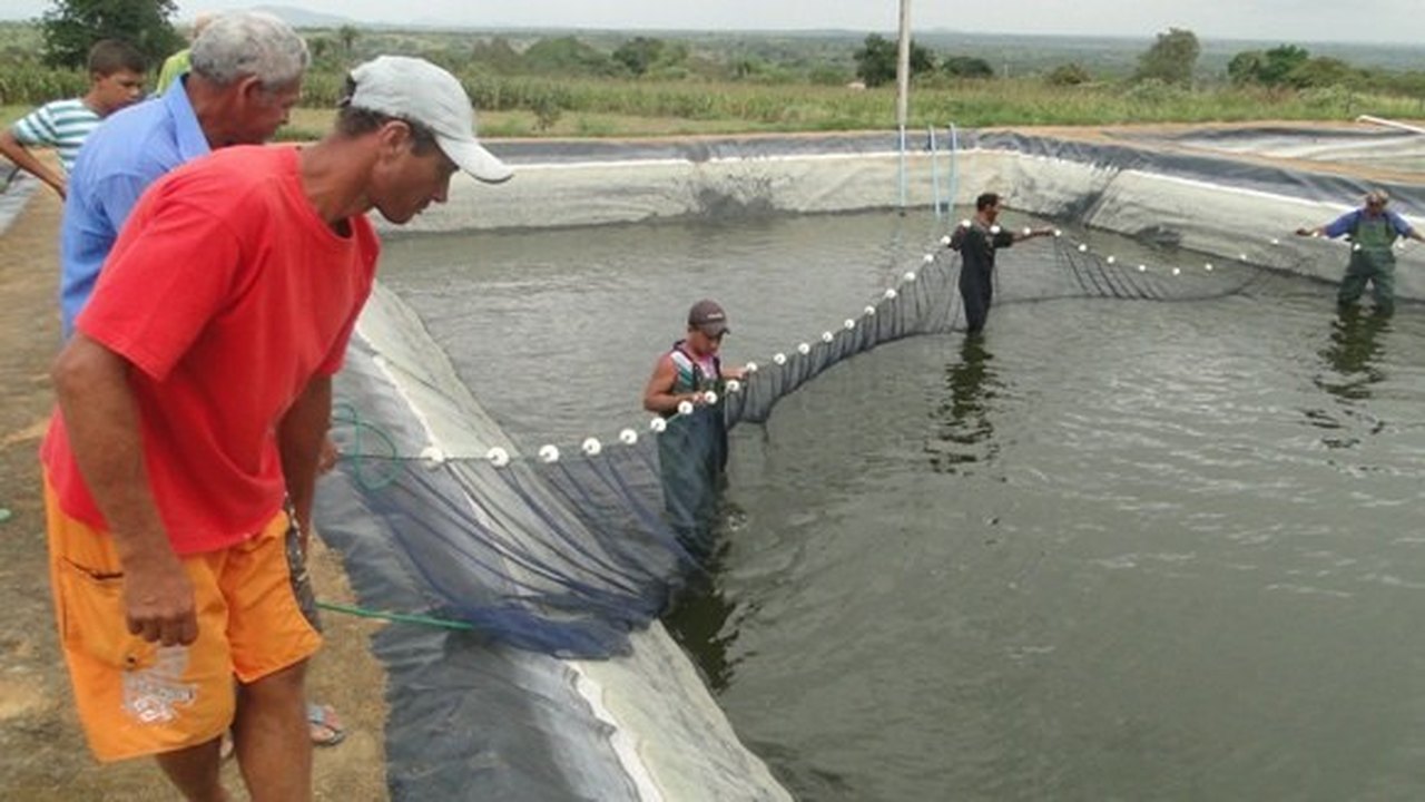 Governo debate flexibilização de licenciamento ambiental para a aquicultura