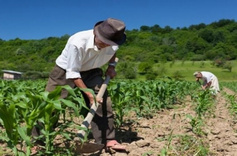 Governo distribuirá kits de irrigação com pequenos produtores