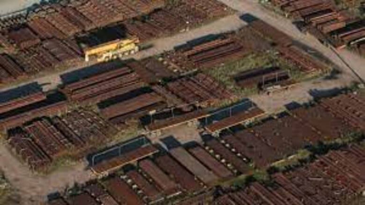 Vacinas e commodities impulsionam comércio recorde com os EUA, diz Amcham